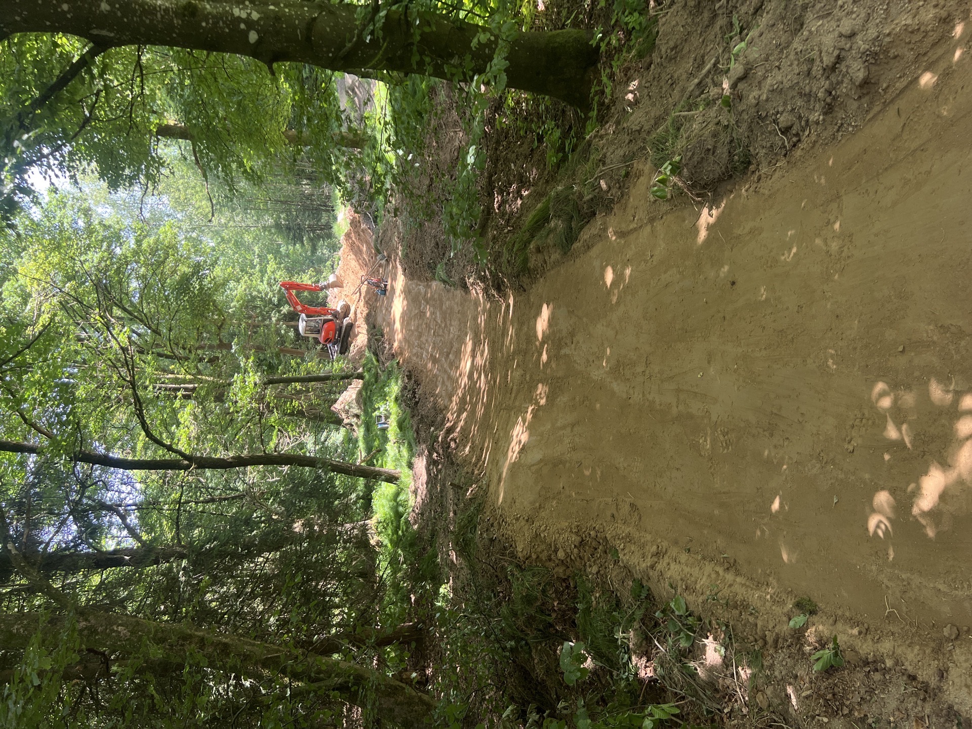 Trail Case Study